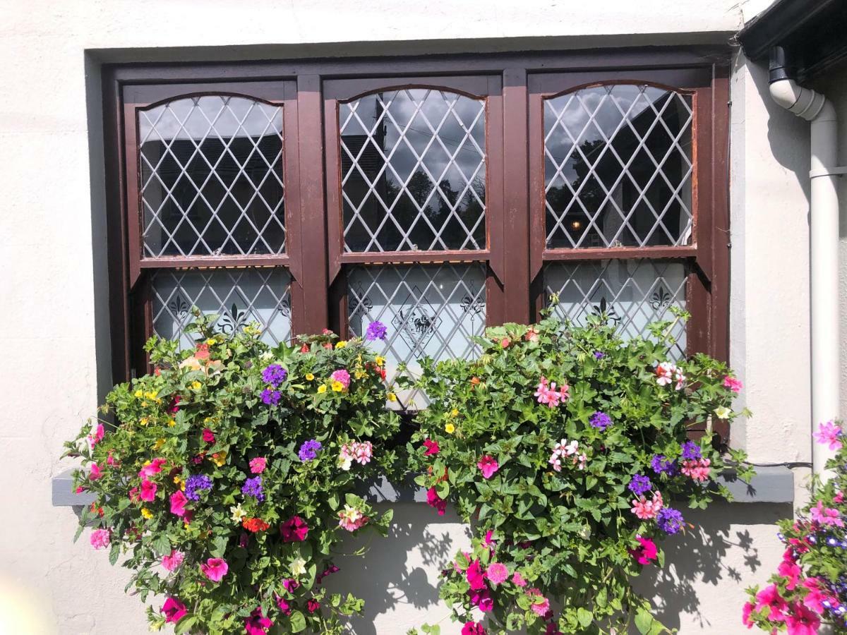 Chester Beatty Inn Ashford Bagian luar foto